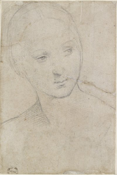 Recto: Studio della Testa di una giovane Donna, WA1846.157 da Raffaello Sanzio Raphael